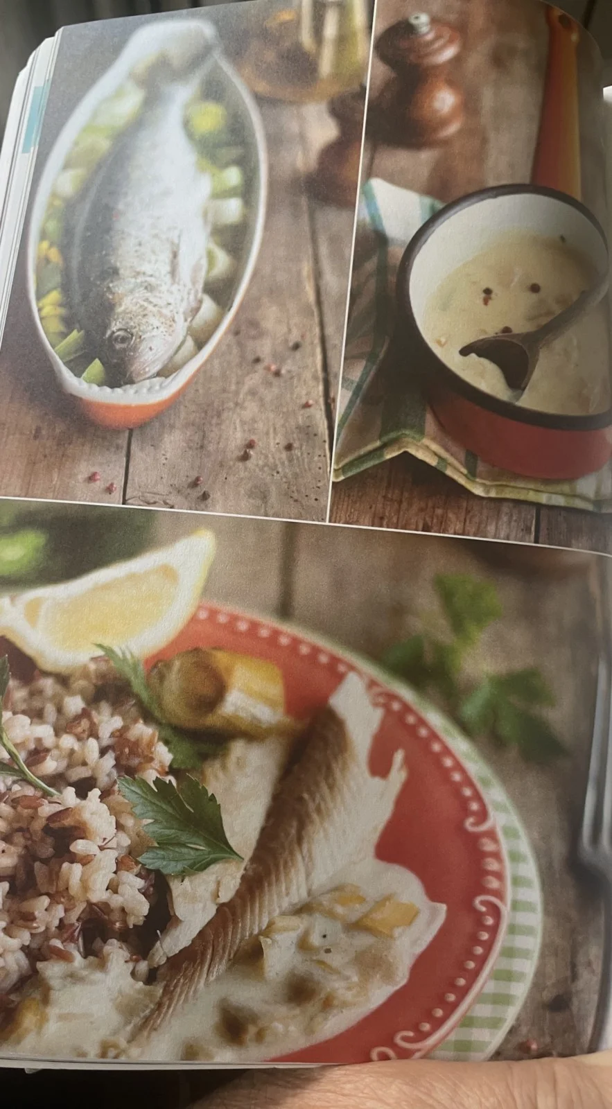 Poisson Blanc Rôti Aux Poireaux, Sauce Crêmeuse